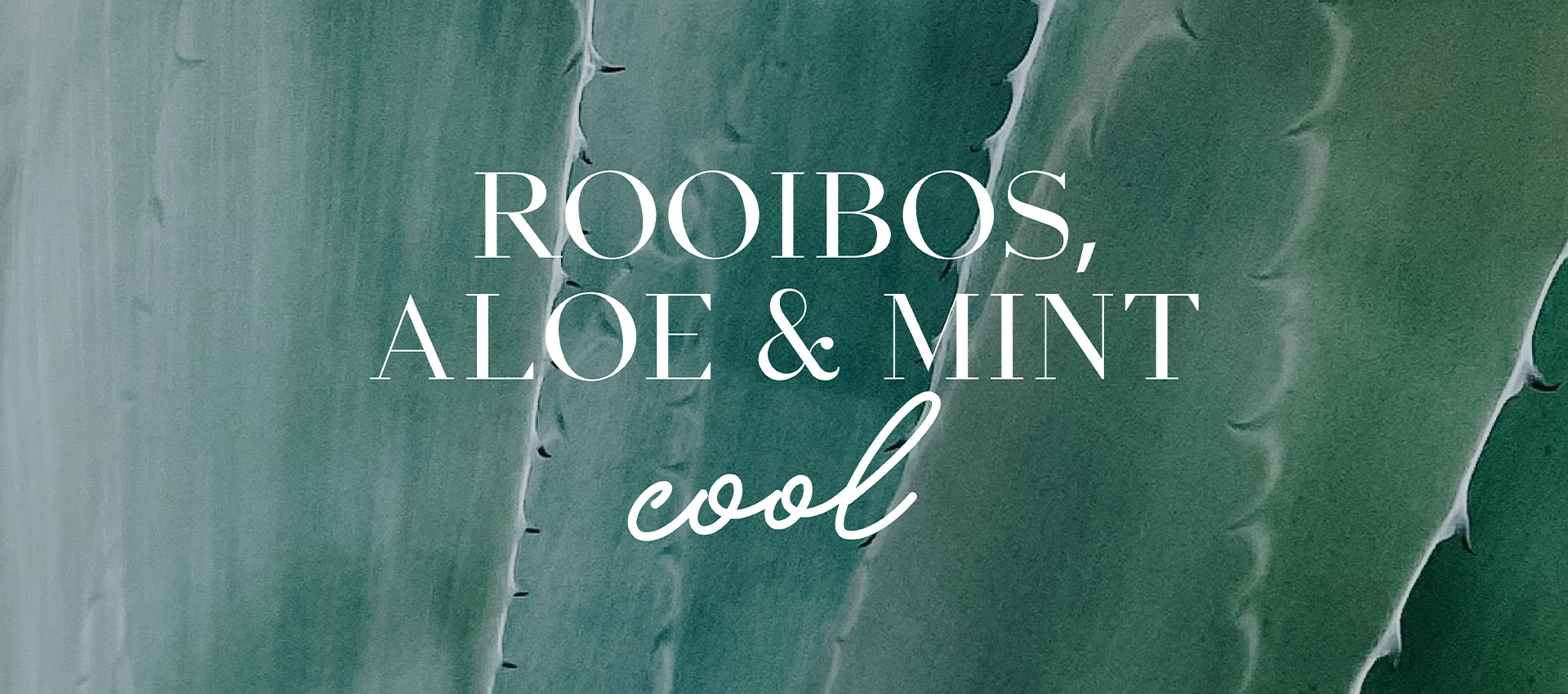 Rooibos-Scent-Mobile