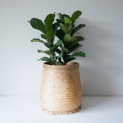 Reed Basket - Medium